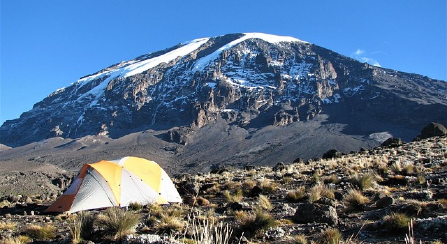 Kilimanjaro